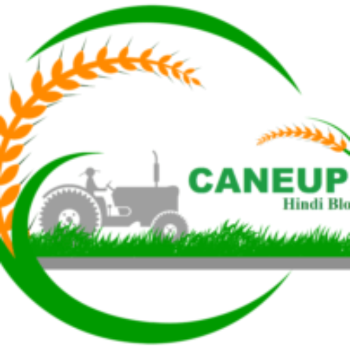 cane up | Caneup CCaneup info | Caneup xyz | caneup.in login | Enquiry cane UP in | e-ganna up | Bcml cane up | Cane enquiry | UP Cane registration caneup Calender 2024 25